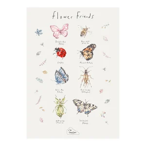 Poster Insekter