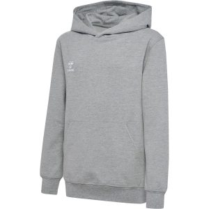 Huvtröja Barn hml Go 2.0 Hoodie Kids