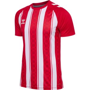 Matchtröja hml Match Striped Jersey S/S