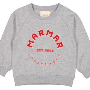 Tröja Sweatshirt Theos